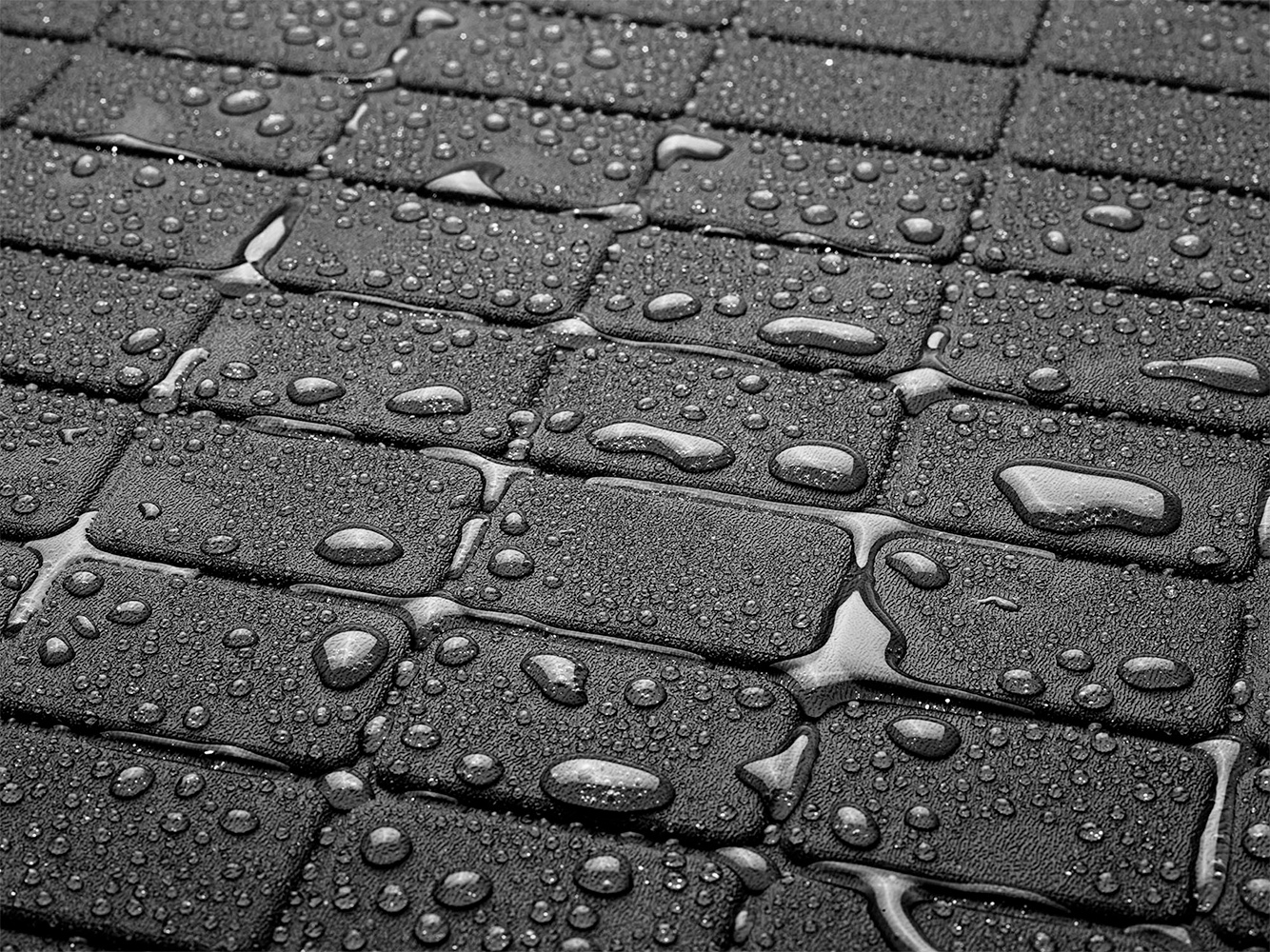 Weathertech HP Cargo Liner Read Reviews & FREE SHIPPING!