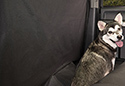 Fia Rear Pet Seat Cover
