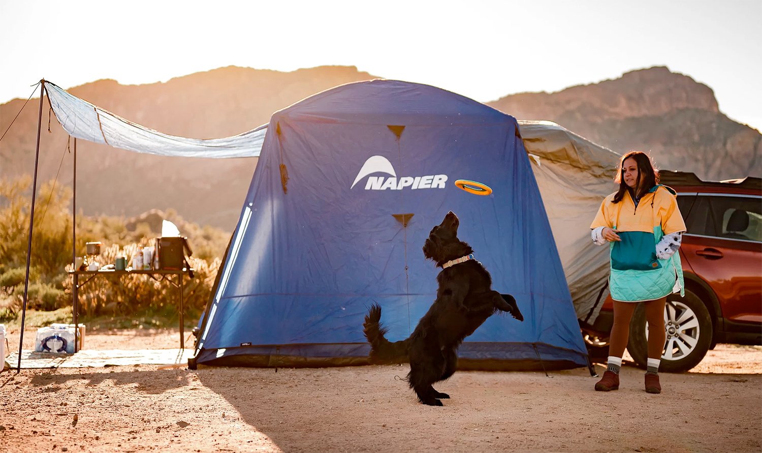 ぐでたま　スマートキャンバス　smartcanvas smart canvas ぐでたま