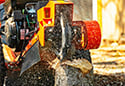 DK2 Power Stump Grinders