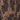 Coverking Fashion Print Rear Deck Cover