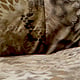 Coverking Kryptek Camo Seat Covers