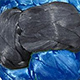 Bubba Rope Gator-Jaw Soft Shackle