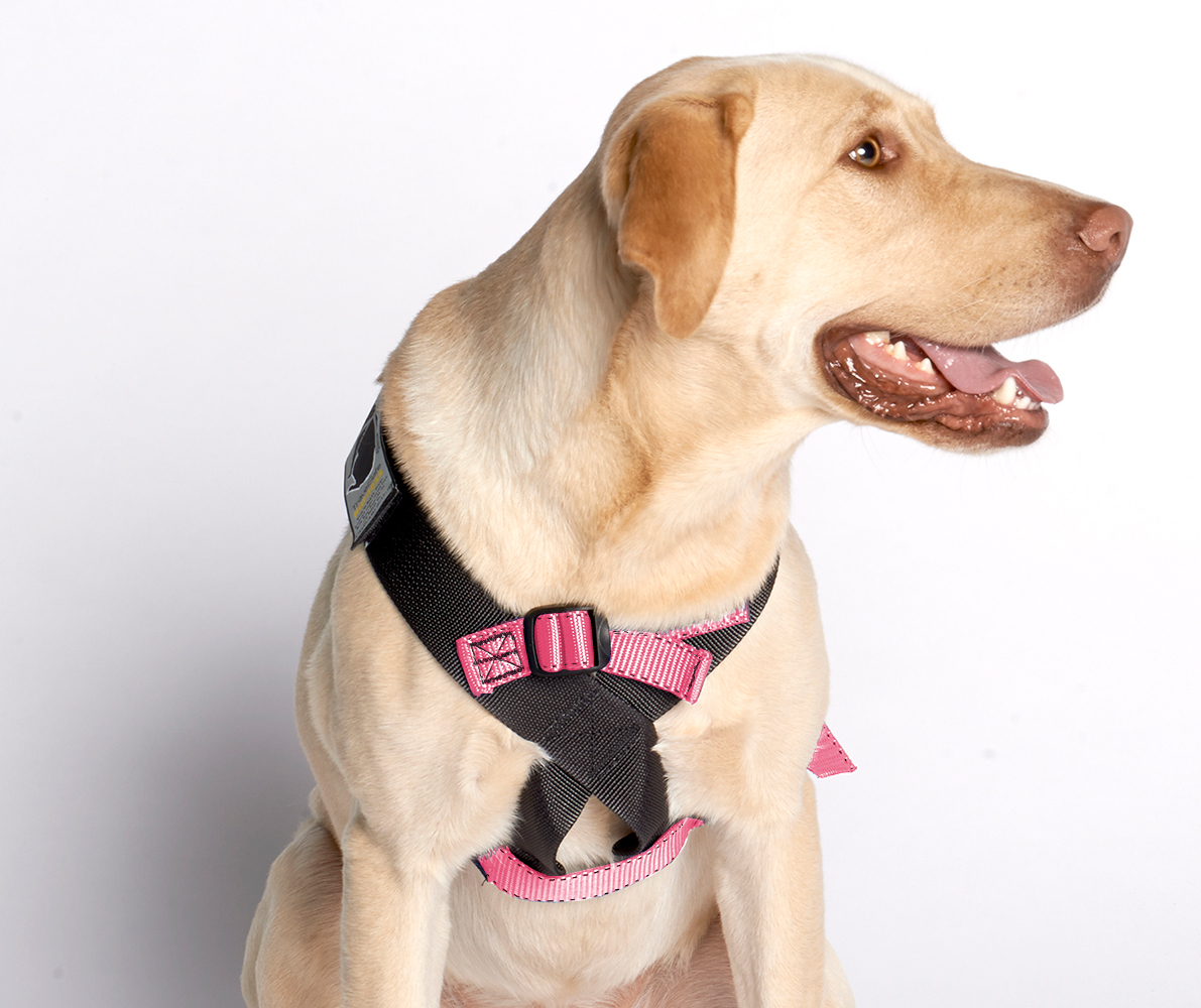 Canine Covers Travel Safe Dog Car Harness Free Shipping