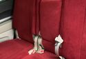 Customer Submitted Photo: CalTrend Velour Seat Covers
