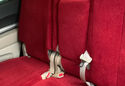 Customer Submitted Photo: CalTrend Velour Seat Covers