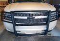 Black Horse Grille Guard