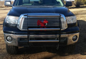 Customer Submitted Photo: AMI Swing Step Grille Guard