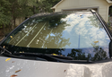 Carhartt Sun Shade