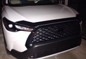 Customer Submitted Photo: WeatherTech Hood Protector