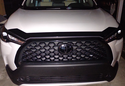 WeatherTech Hood Protector photo by Patricia B