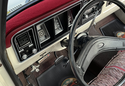 Dash Designs Velour Dashboard Cover photo by Paul C