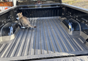 Weathertech ImpactLiner Truck Bed Liner photo by Don H