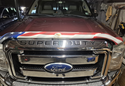 Stampede Vigilante Premium US Flag Bug Deflector photo by Lynne H