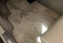 Customer Submitted Photo: Avery's Touring Floor Mats