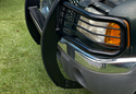 Aries Grille Guard photo by Jesus F