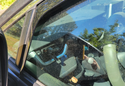 WeatherTech Window Deflector photo by Yvonne S