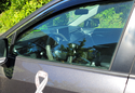 WeatherTech Window Deflector photo by Yvonne S