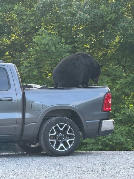 Customer Photo by Lynn L, who drives a Dodge Ram 1500