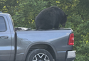 Trident FastFold Tonneau Cover photo by Lynn L
