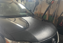 Customer Submitted Photo: Colgan T-Style Hood Bra