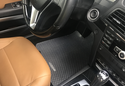 Customer Submitted Photo: Lloyd Protector Floor Mats