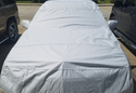 Customer Submitted Photo: Covercraft Noah Car Cover