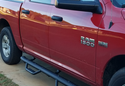Customer Submitted Photo: Go Rhino Dominator D4 Dual Step Nerf Bars