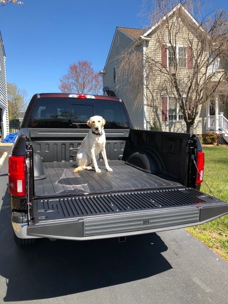 Customer Photo by Jo D, who drives a Ford F-150