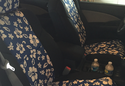 Customer Submitted Photo: Coverking Genuine CR Grade Neoprene Seat Covers