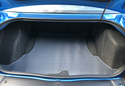 Customer Submitted Photo: Lloyd Protector Cargo Liner