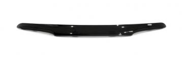 Bugshield for 2007 ford focus #7