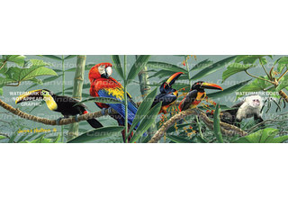 Jungle Macaw Parrot Rear Window Graphic Decal Truck SUV